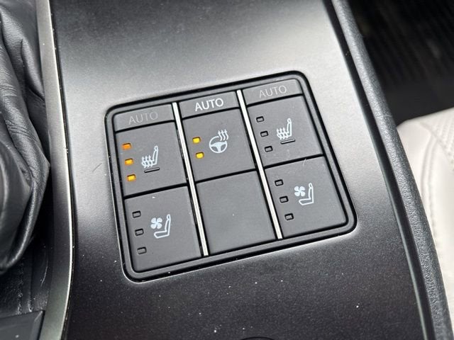 2024 Lexus UX 250h Premium