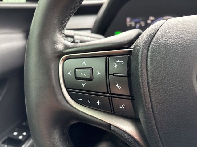 2024 Lexus UX 250h Premium