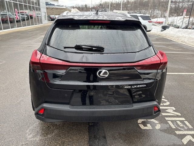 2024 Lexus UX 250h Premium