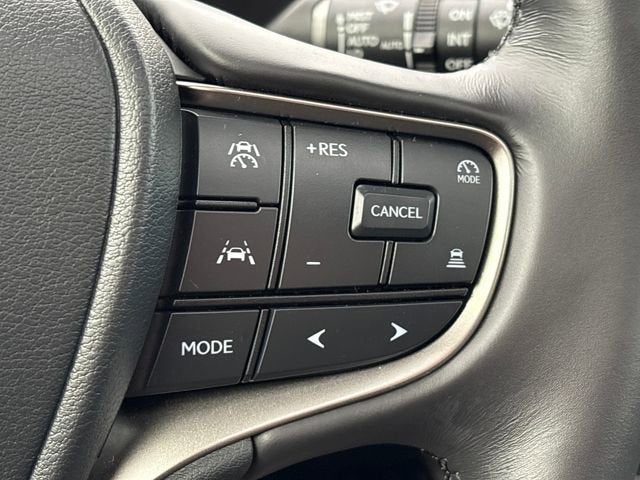 2025 Lexus UX 300h Premium